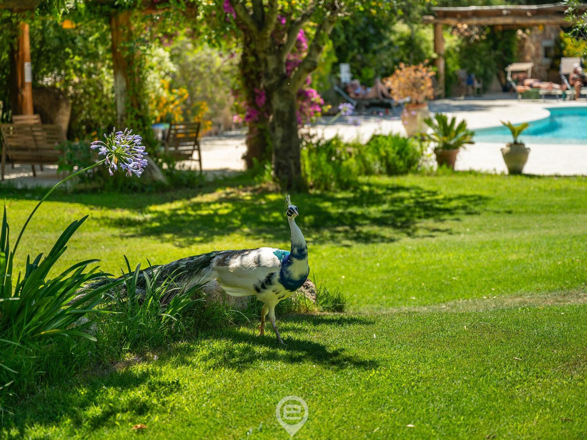 Tanca De Mar - Your Wonderful Holiday Maracalagonis Dış mekan fotoğraf